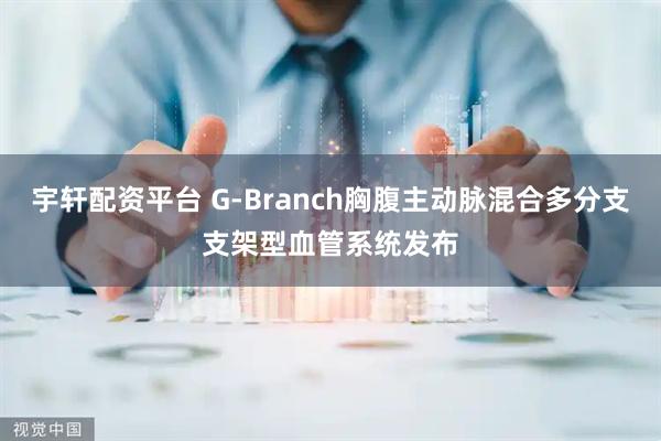宇轩配资平台 G-Branch胸腹主动脉混合多分支支架型血管系统发布
